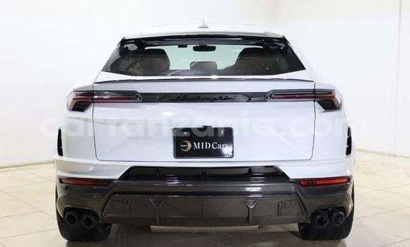 Buy Import Lamborghini Urus White Car in Kahama in Shinyanga Buy Import Lamborghini Urus White Car in Kahama in Shinyanga