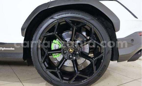 Buy Import Lamborghini Urus White Car in Kahama in Shinyanga Buy Import Lamborghini Urus White Car in Kahama in Shinyanga
