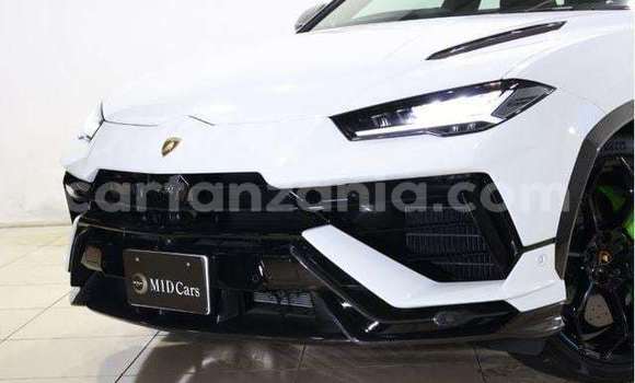 Buy Import Lamborghini Urus White Car in Kahama in Shinyanga Buy Import Lamborghini Urus White Car in Kahama in Shinyanga