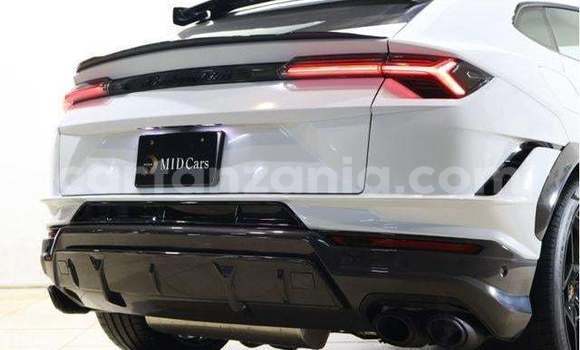 Buy Import Lamborghini Urus White Car in Kahama in Shinyanga Buy Import Lamborghini Urus White Car in Kahama in Shinyanga