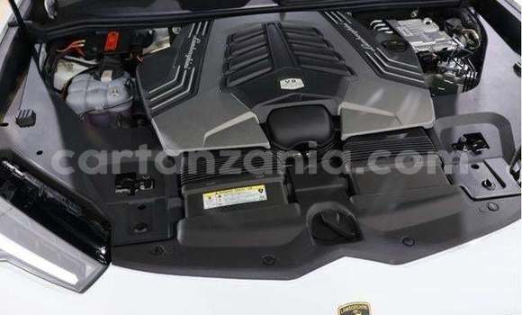 Buy Import Lamborghini Urus White Car in Kahama in Shinyanga Buy Import Lamborghini Urus White Car in Kahama in Shinyanga