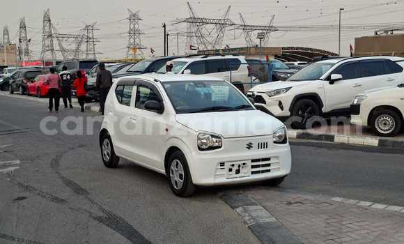 Nunua Imported Suzuki Alto Nyeupe Gari ndani ya Import - Dubai nchini Arusha