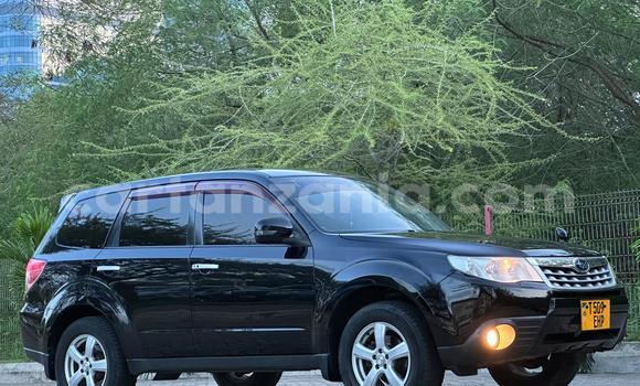 Buy Used Subaru Forester Black Car in Dar es Salaam in Dar es Salaam Buy Used Subaru Forester Black Car in Dar es Salaam in Dar es Salaam