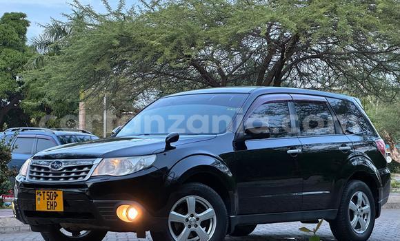 Buy Used Subaru Forester Black Car in Dar es Salaam in Dar es Salaam Buy Used Subaru Forester Black Car in Dar es Salaam in Dar es Salaam