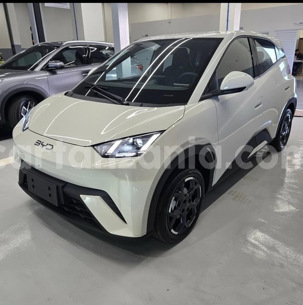 Big with watermark byd seagull dar es salaam dar es salaam 32056