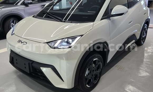 Buy Used BYD Seagull White Car in Dar es Salaam in Dar es Salaam