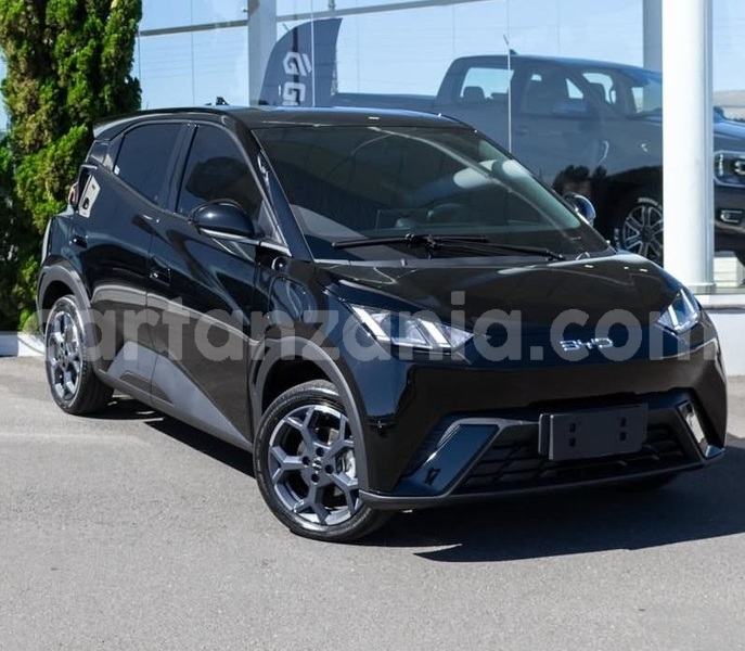 Big with watermark byd seagull dar es salaam dar es salaam 32056