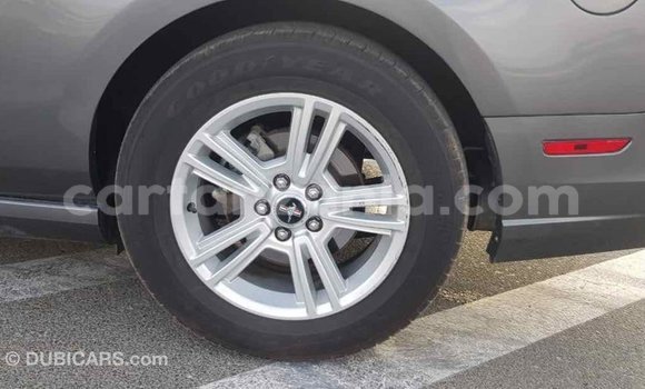 Nunua Imported Ford Mustang Nyingine Gari ndani ya Import - Dubai nchini Arusha Nunua Imported Ford Mustang Nyingine Gari ndani ya Import - Dubai nchini Arusha