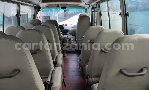 Buy Used BYD E6 Brown Car in Dar es Salaam in Dar es Salaam Buy Used BYD E6 Brown Car in Dar es Salaam in Dar es Salaam