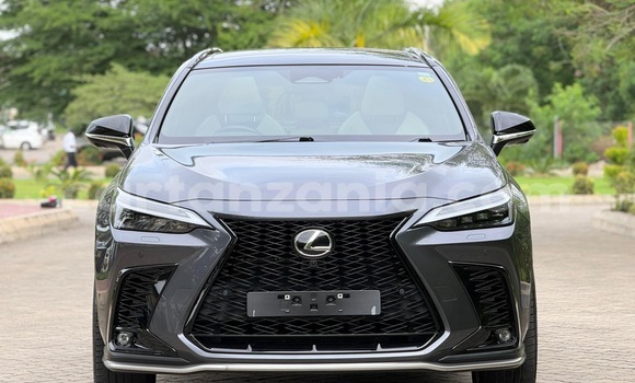 Buy Import Lexus NX Other Car in Dar es Salaam in Dar es Salaam Buy Import Lexus NX Other Car in Dar es Salaam in Dar es Salaam