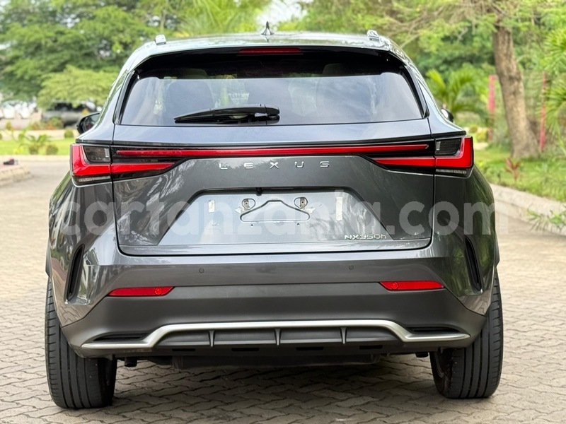 Big with watermark lexus nx dar es salaam dar es salaam 32117