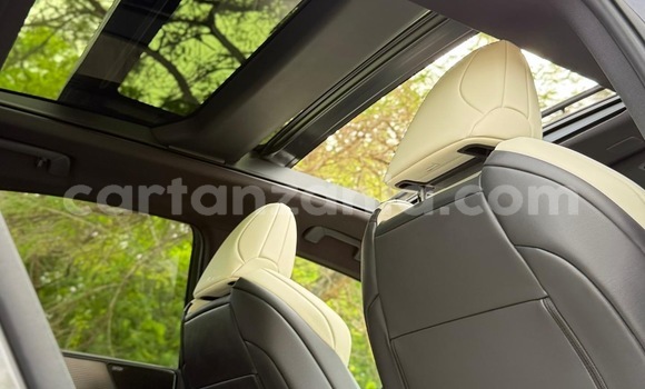 Nunua Imported Lexus NX Nyingine Gari ndani ya Dar es Salaam nchini Dar es Salaam Nunua Imported Lexus NX Nyingine Gari ndani ya Dar es Salaam nchini Dar es Salaam