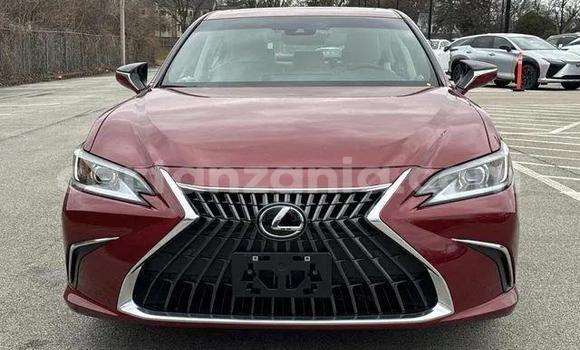 Buy Used Lexus ES Red Car in Buhigwe in Kigoma