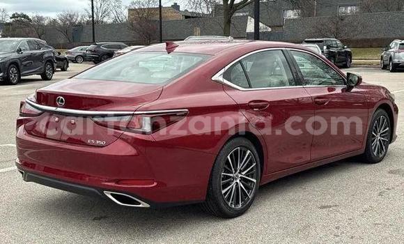 Buy Used Lexus ES Red Car in Buhigwe in Kigoma Buy Used Lexus ES Red Car in Buhigwe in Kigoma