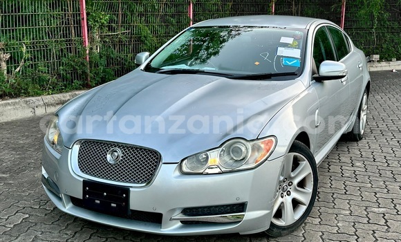 Nunua Imported Jaguar F-Pace Fedha Gari ndani ya Dar es Salaam nchini Dar es Salaam Nunua Imported Jaguar F-Pace Fedha Gari ndani ya Dar es Salaam nchini Dar es Salaam