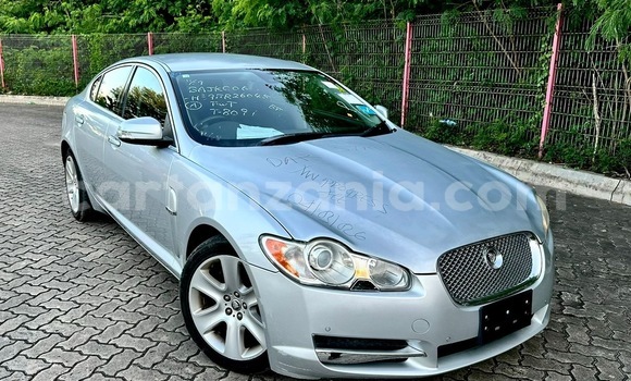 Nunua Imported Jaguar F-Pace Fedha Gari ndani ya Dar es Salaam nchini Dar es Salaam Nunua Imported Jaguar F-Pace Fedha Gari ndani ya Dar es Salaam nchini Dar es Salaam