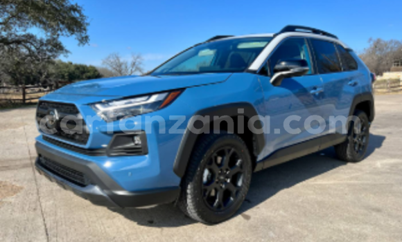 Buy Used Toyota RAV4 Blue Car in Dar es Salaam in Dar es Salaam