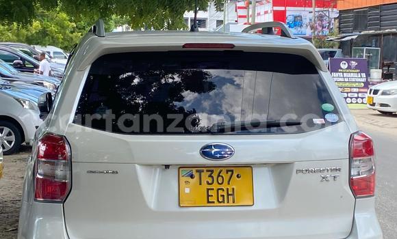 Nunua Ilio tumika Subaru Forester Nyeupe Gari ndani ya Dar es Salaam nchini Dar es Salaam Nunua Ilio tumika Subaru Forester Nyeupe Gari ndani ya Dar es Salaam nchini Dar es Salaam
