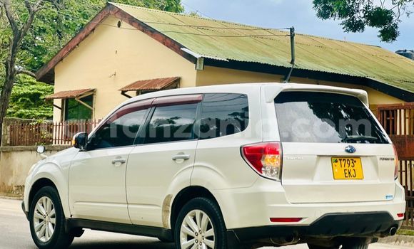 Buy Used Subaru Forester Other Car in Dar es Salaam in Dar es Salaam