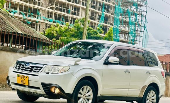 Nunua Ilio tumika Subaru Forester Nyingine Gari ndani ya Dar es Salaam nchini Dar es Salaam Nunua Ilio tumika Subaru Forester Nyingine Gari ndani ya Dar es Salaam nchini Dar es Salaam