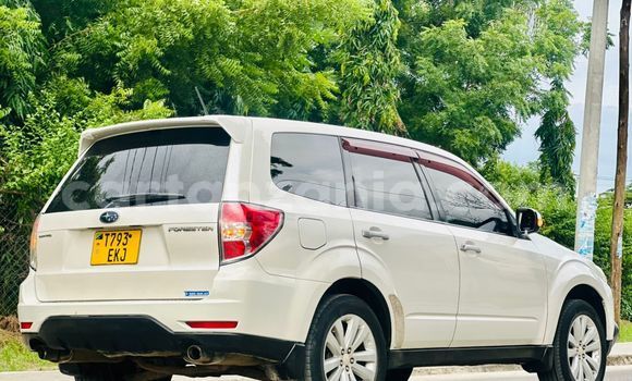 Nunua Ilio tumika Subaru Forester Nyingine Gari ndani ya Dar es Salaam nchini Dar es Salaam Nunua Ilio tumika Subaru Forester Nyingine Gari ndani ya Dar es Salaam nchini Dar es Salaam