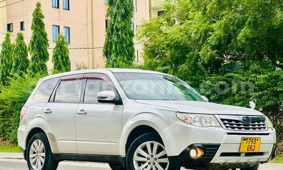 Nunua Ilio tumika Subaru Forester Nyingine Gari ndani ya Dar es Salaam nchini Dar es Salaam Nunua Ilio tumika Subaru Forester Nyingine Gari ndani ya Dar es Salaam nchini Dar es Salaam