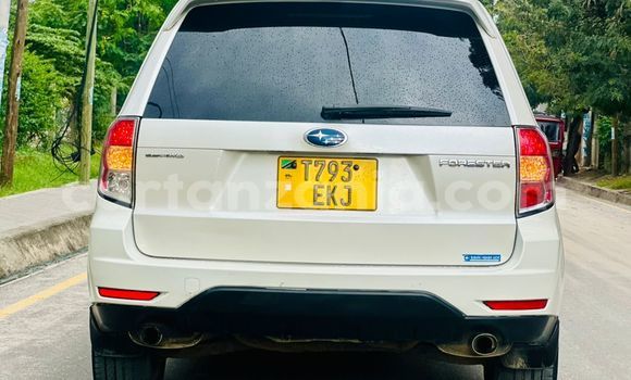 Nunua Ilio tumika Subaru Forester Nyingine Gari ndani ya Dar es Salaam nchini Dar es Salaam Nunua Ilio tumika Subaru Forester Nyingine Gari ndani ya Dar es Salaam nchini Dar es Salaam