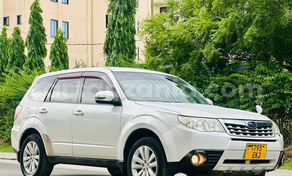 Nunua Ilio tumika Subaru Forester Nyingine Gari ndani ya Dar es Salaam nchini Dar es Salaam Nunua Ilio tumika Subaru Forester Nyingine Gari ndani ya Dar es Salaam nchini Dar es Salaam