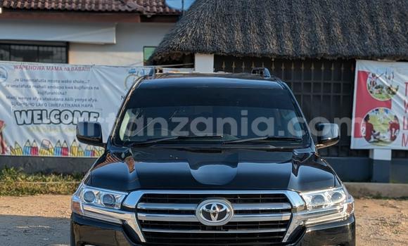 Buy Used Toyota Land Cruiser Black Car in Dar es Salaam in Dar es Salaam