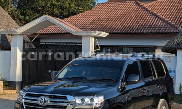 Nunua Ilio tumika Toyota Land Cruiser Nyeusi Gari ndani ya Dar es Salaam nchini Dar es Salaam Nunua Ilio tumika Toyota Land Cruiser Nyeusi Gari ndani ya Dar es Salaam nchini Dar es Salaam