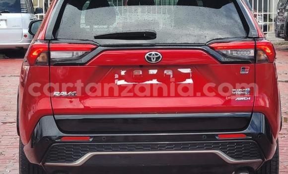 Buy New Toyota RAV4 Red Car in Dar es Salaam in Dar es Salaam Buy New Toyota RAV4 Red Car in Dar es Salaam in Dar es Salaam