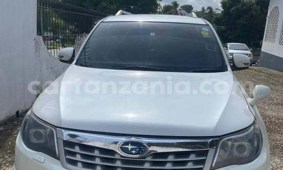 Buy Used Subaru Forester White Car in Dar es Salaam in Dar es Salaam