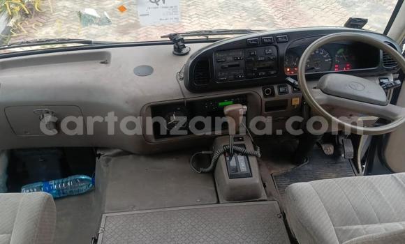 Nunua Ilio tumika Toyota Coaster Brown Gari ndani ya Dar es Salaam nchini Dar es Salaam Nunua Ilio tumika Toyota Coaster Brown Gari ndani ya Dar es Salaam nchini Dar es Salaam