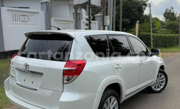 Buy New Toyota Vanguard White Car in Dar es Salaam in Dar es Salaam