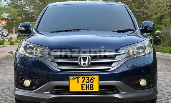 Buy Used Honda CR–V Blue Car in Dar es Salaam in Dar es Salaam