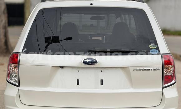 Nunua Imported Subaru Forester Nyeupe Gari ndani ya Dar es Salaam nchini Dar es Salaam Nunua Imported Subaru Forester Nyeupe Gari ndani ya Dar es Salaam nchini Dar es Salaam