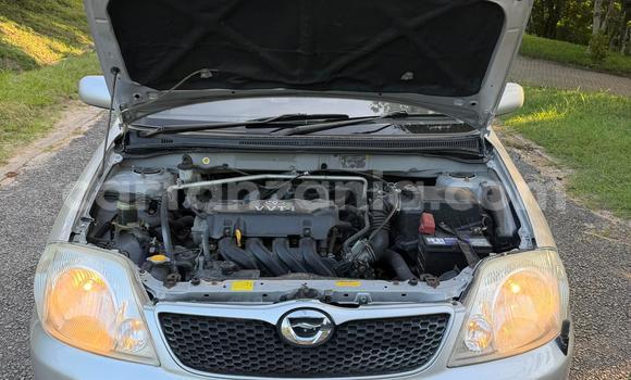 Buy Used Toyota Allex Silver Car in Dar es Salaam in Dar es Salaam