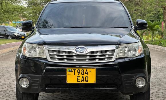 Buy Used Subaru Forester Black Car in Dar es Salaam in Dar es Salaam