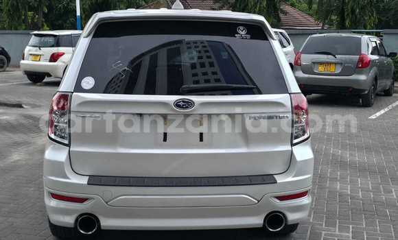 Buy New Subaru Forester White Car in Dar es Salaam in Dar es Salaam Buy New Subaru Forester White Car in Dar es Salaam in Dar es Salaam
