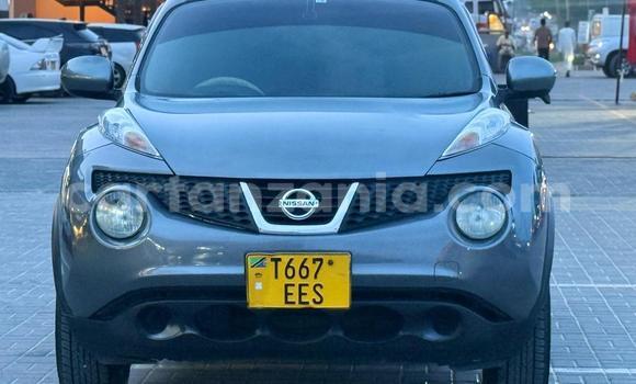 Buy Used Nissan Juke Green Car in Dar es Salaam in Dar es Salaam