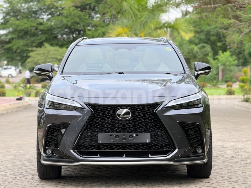 Big with watermark lexus nx dar es salaam dar es salaam 32524