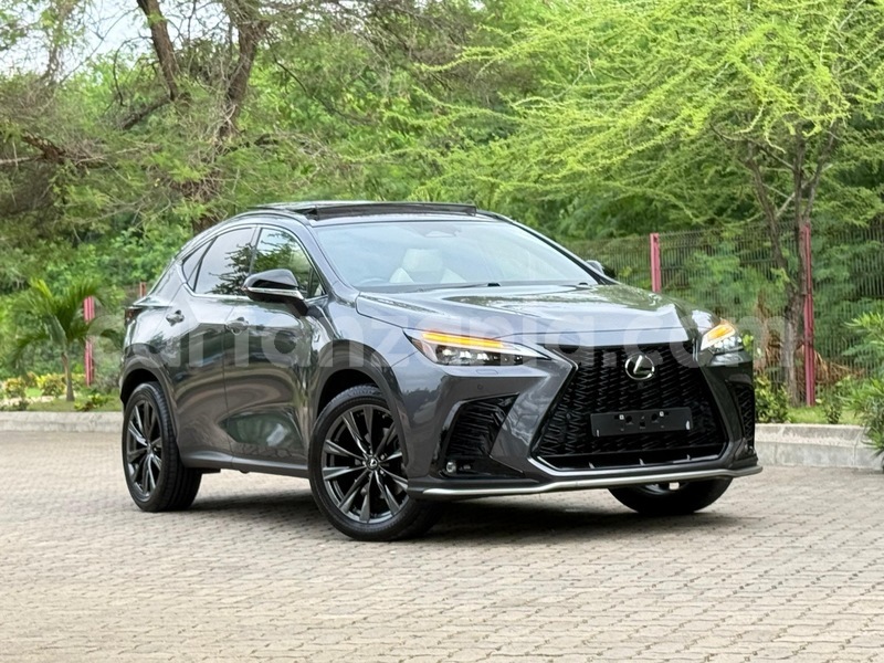 Big with watermark lexus nx dar es salaam dar es salaam 32524