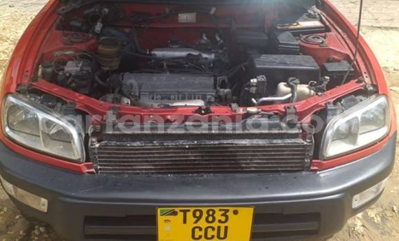 Buy Used Toyota RAV4 Red Car in Dar es Salaam in Dar es Salaam Buy Used Toyota RAV4 Red Car in Dar es Salaam in Dar es Salaam