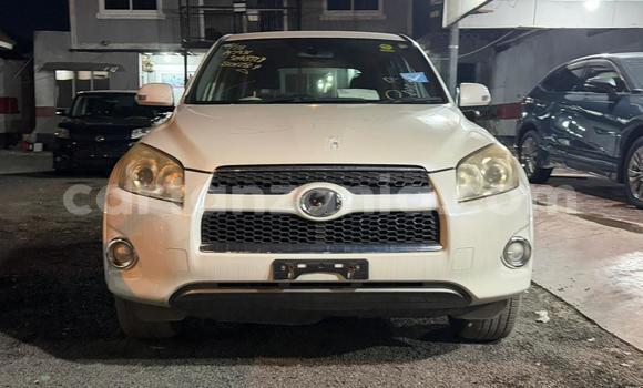 Buy New Toyota RAV4 White Car in Dar es Salaam in Dar es Salaam Buy New Toyota RAV4 White Car in Dar es Salaam in Dar es Salaam