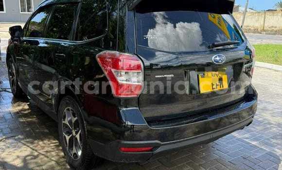 Nunua Ilio tumika Subaru Forester Nyeusi Gari ndani ya Dar es Salaam nchini Dar es Salaam Nunua Ilio tumika Subaru Forester Nyeusi Gari ndani ya Dar es Salaam nchini Dar es Salaam
