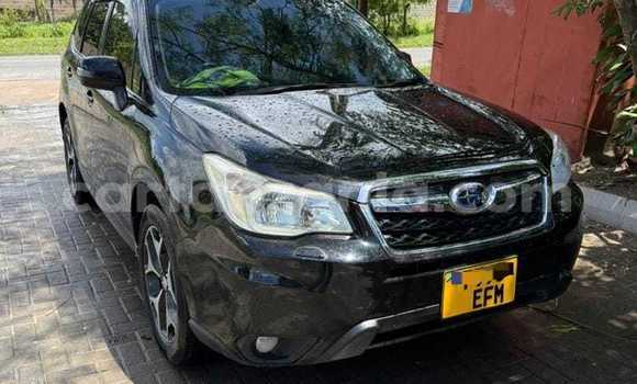 Nunua Ilio tumika Subaru Forester Nyeusi Gari ndani ya Dar es Salaam nchini Dar es Salaam Nunua Ilio tumika Subaru Forester Nyeusi Gari ndani ya Dar es Salaam nchini Dar es Salaam