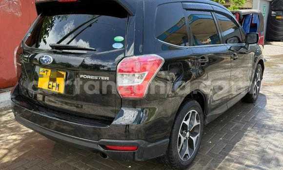 Nunua Ilio tumika Subaru Forester Nyeusi Gari ndani ya Dar es Salaam nchini Dar es Salaam Nunua Ilio tumika Subaru Forester Nyeusi Gari ndani ya Dar es Salaam nchini Dar es Salaam