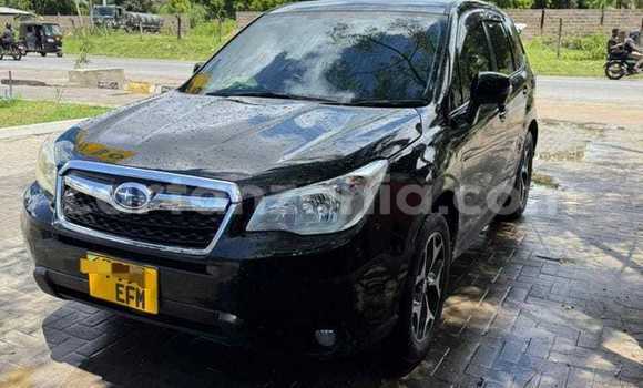 Nunua Ilio tumika Subaru Forester Nyeusi Gari ndani ya Dar es Salaam nchini Dar es Salaam Nunua Ilio tumika Subaru Forester Nyeusi Gari ndani ya Dar es Salaam nchini Dar es Salaam
