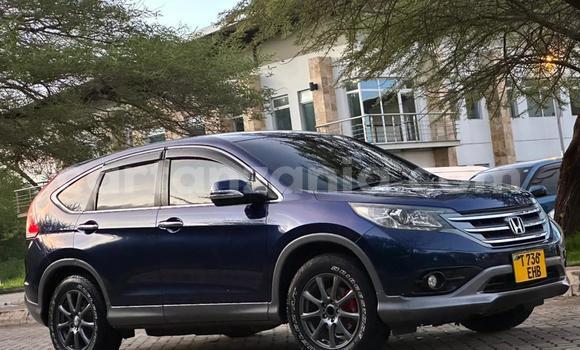 Nunua Ilio tumika Honda CR–V Nyingine Gari ndani ya Dar es Salaam nchini Dar es Salaam Nunua Ilio tumika Honda CR–V Nyingine Gari ndani ya Dar es Salaam nchini Dar es Salaam