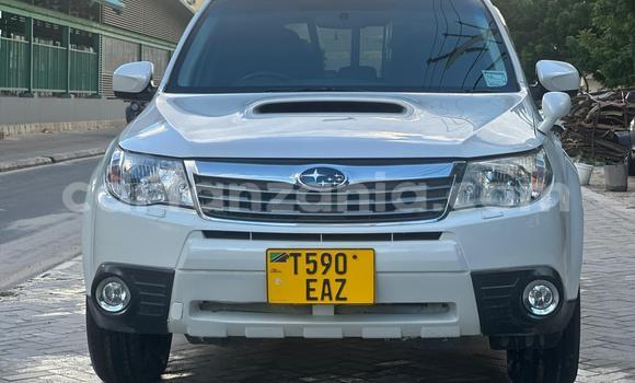 Buy Used Subaru Forester White Car in Dar es Salaam in Dar es Salaam